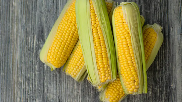6 Manfaat Jagung untuk Kesehatan Tubuh